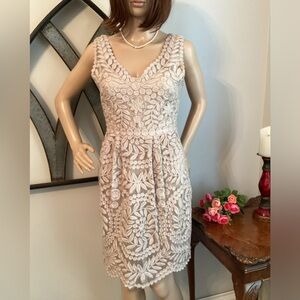 BARASCHI Silk Soft Taupe Embroidered Dress with separate under Slip
